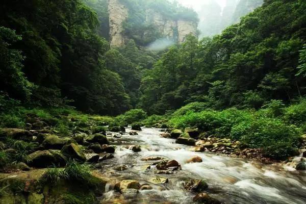 “最长春节档”即将开启！济南有影城9厅全开，凌晨4点也能看电影